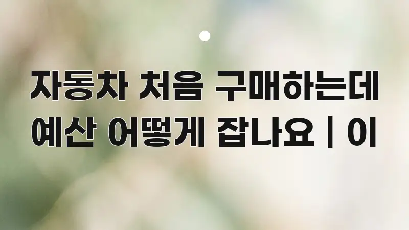 자동차 처음 구매하는데 예산 어떻게 잡나요 | 이 꼭 필요한 정보만 담은 핵심 정보 비주얼 - 활용 예시 이미지