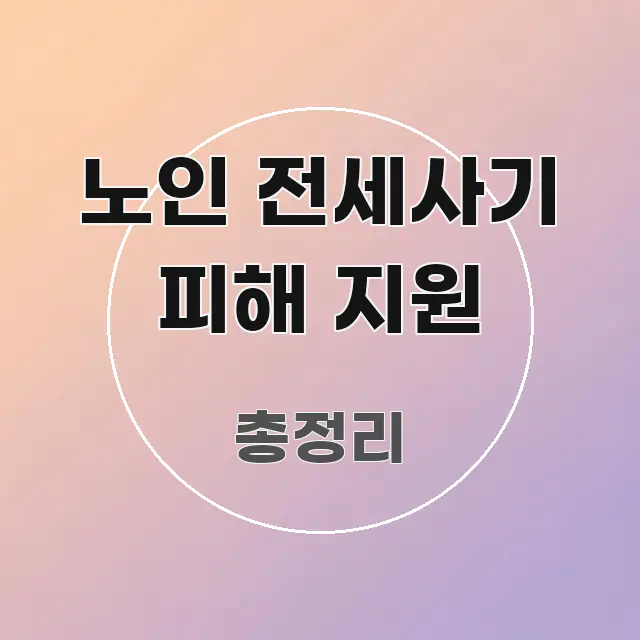 노인 전세사기 피해 지원 가독성 높게 정리한 정보 카드 디자인 이미지