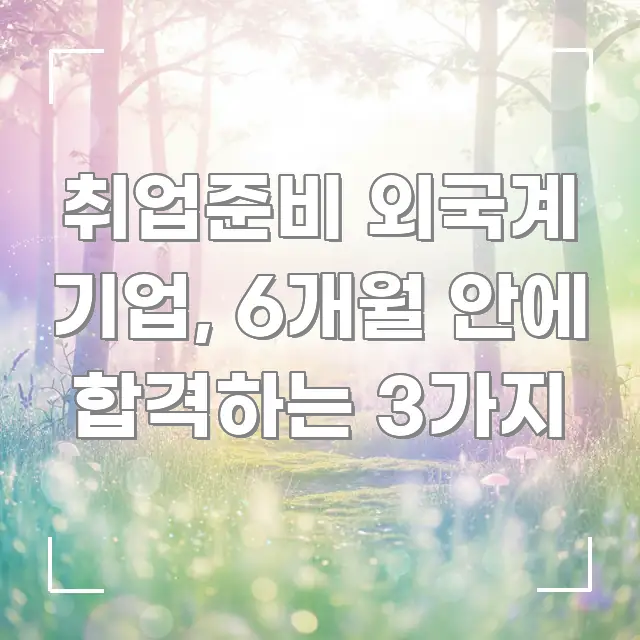 취업준비 외국계 기업, 6개월 안에 합격하는 3가지 심플하고 명확하게 정리한 포스트 대표 비주얼 이미지 - 참고용 이미지
