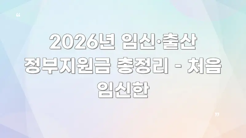 2026년 임신·출산 정부지원금 총정리 – 처음 임신한 실용적으로 정리한 블로그 섹션 구분 이미지 - 독자 이해를 위한 이미지