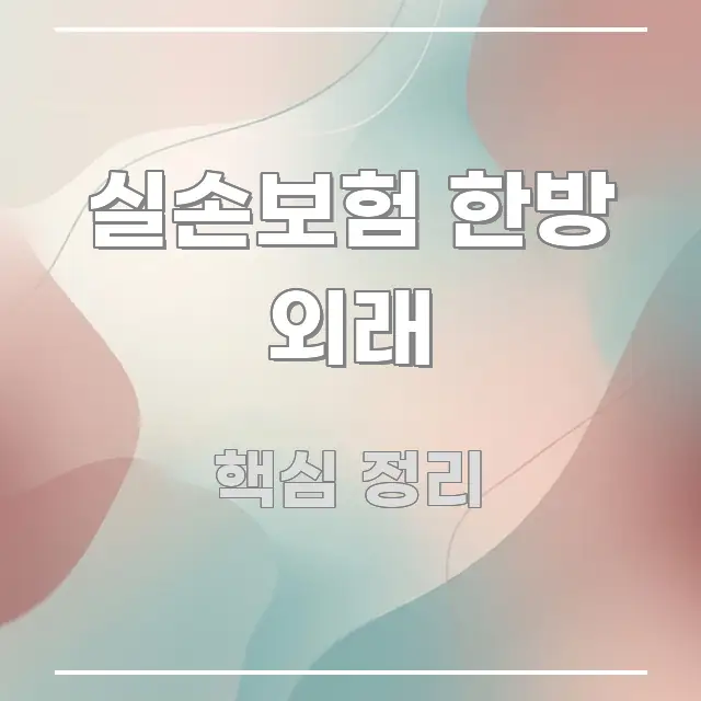 실손보험 한방 외래 직관적으로 이해되는 텍스트 포스터 이미지