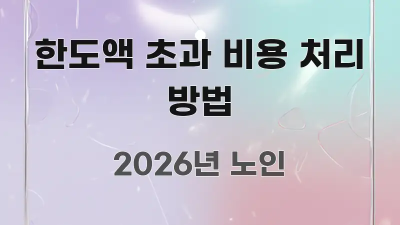 한도액 초과 비용 처리 방법 신뢰할 수 있는 정보를 담은 블로그 섹션 구분 이미지 - 설명을 돕는 이미지