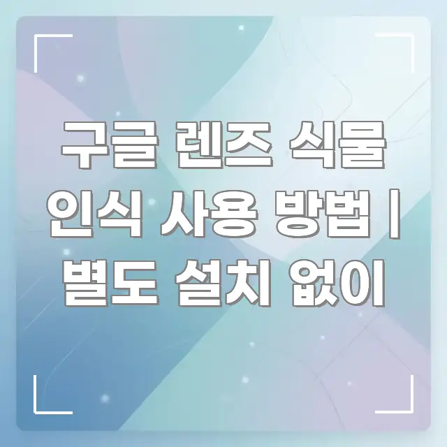 구글 렌즈 식물 인식 사용 방법 | 별도 설치 없이 실용적으로 정리한 블로그 섹션 구분 이미지