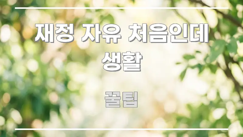 재정 자유 처음인데 생활 요점만 뽑아낸 깔끔한 인포그래픽 표지