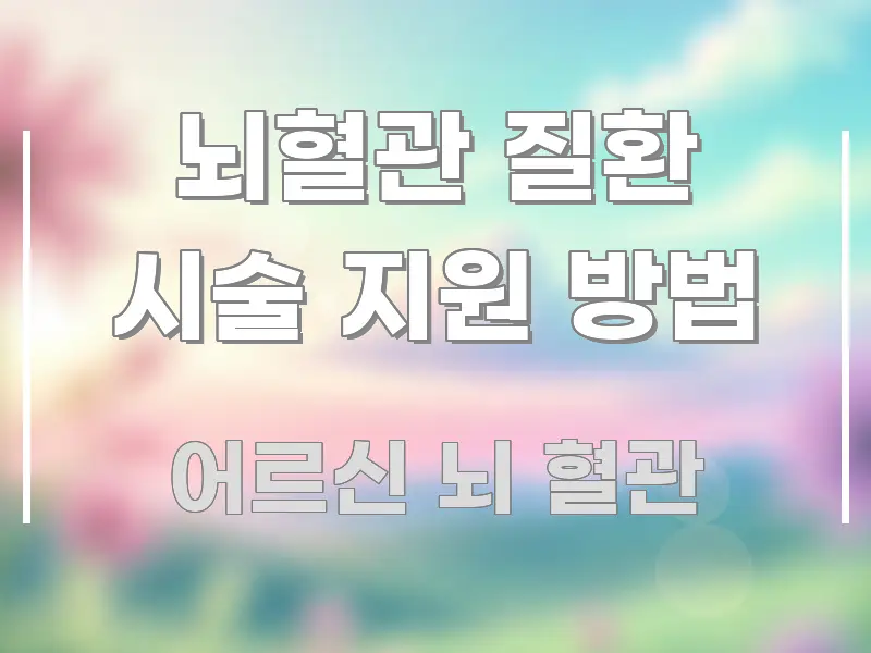 뇌혈관 질환 시술 지원 방법 요점만 뽑아낸 블로그 섹션 구분 이미지