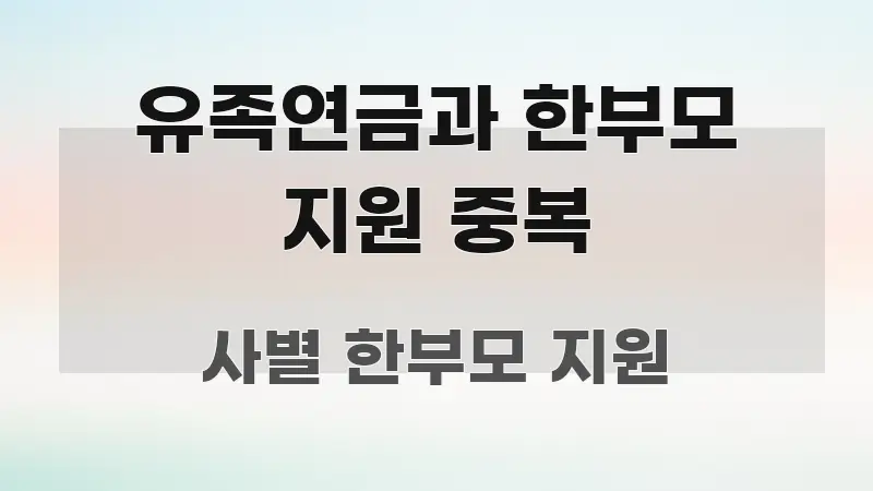 유족연금과 한부모 지원 중복 간결하고 명료한 텍스트 기반 블로그 이미지 - 활용 예시 이미지