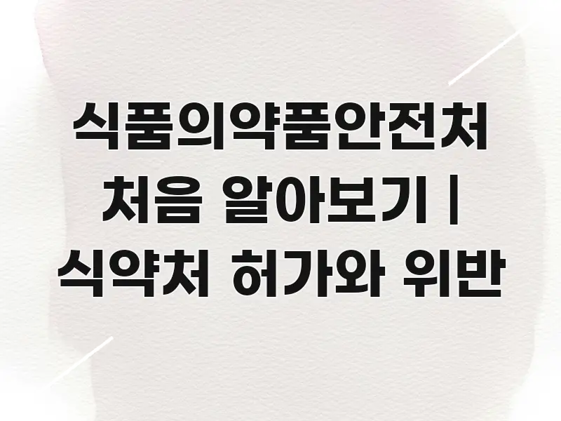 식품의약품안전처 처음 알아보기 | 식약처 허가와 위반 주요 포인트를 요약한 텍스트 포스터 이미지 - 본문 내용과 연관된 이미지