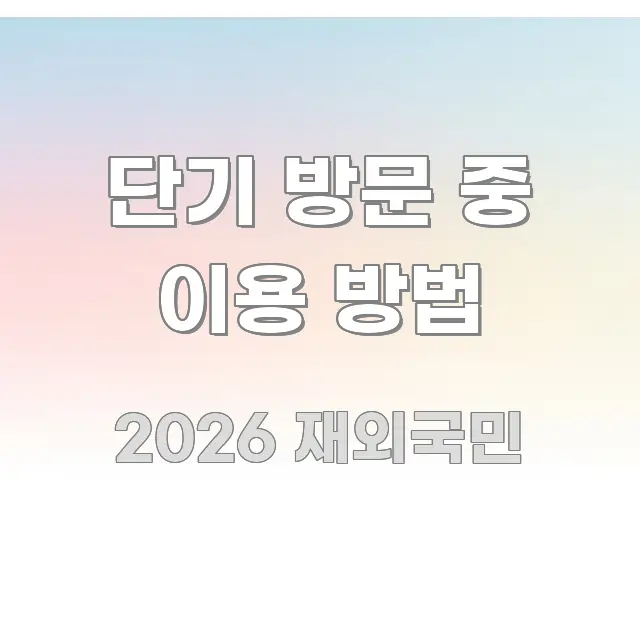 단기 방문 중 이용 방법 흥미롭게 구성한 정보 요약 포스터 - 글 흐름을 돕는 시각 자료