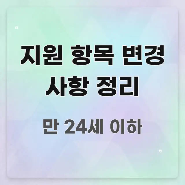 지원 항목 변경 사항 정리 구조적으로 정리된 핵심 정리 썸네일 이미지 - 글 흐름을 돕는 시각 자료