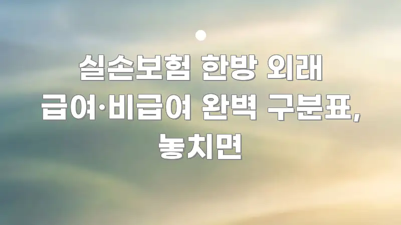 실손보험 한방 외래 급여·비급여 완벽 구분표, 놓치면 전문적으로 분석한 블로그 헤더 이미지 - 내용 요약을 위한 이미지