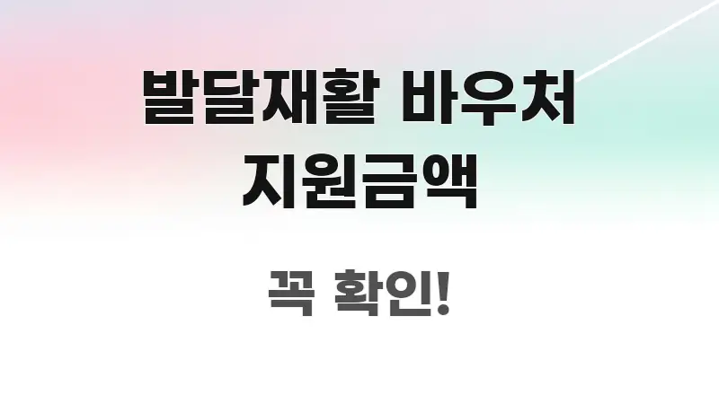 발달재활 바우처 지원금액 꼼꼼하게 정리된 핵심 정보 비주얼 - 글 흐름을 돕는 시각 자료