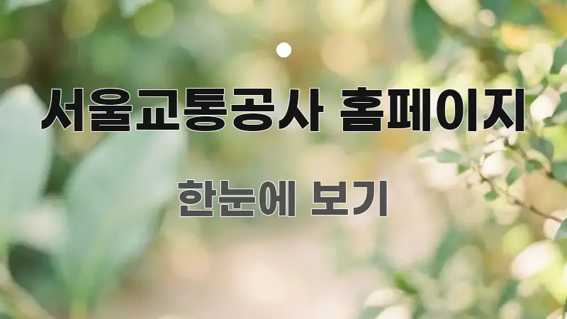 서울교통공사 홈페이지 정보 이미지 서울교통공사 홈페이지 바로 활용 가능한 텍스트형 카드뉴스 표지 이미지 - 독자 이해를 위한 이미지