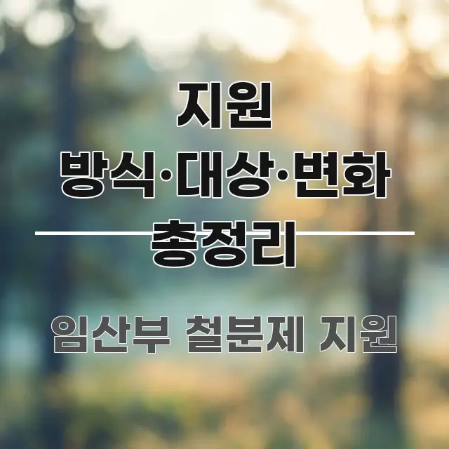 지원 방식·대상·변화 총정리 빠르게 이해할 수 있는 정보 전달형 표지 이미지