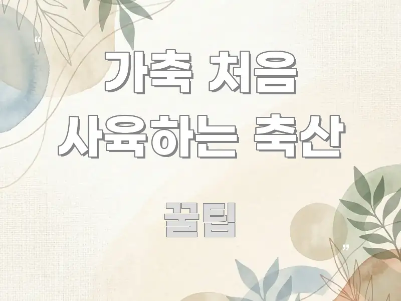 가축 처음 사육하는 축산 정보 이미지 가축 처음 사육하는 축산 꼭 필요한 정보만 담은 정보 카드 디자인 이미지 - 활용 예시 이미지