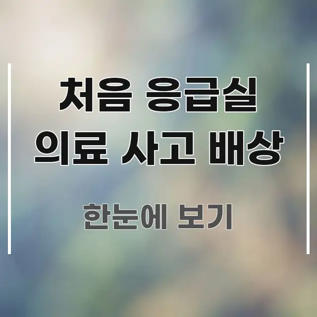 처음 응급실 의료 사고 배상 효율적으로 구성된 가독성 높은 정보 이미지 - 참고용 이미지
