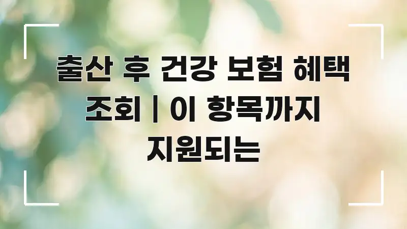 출산 후 건강 보험 혜택 조회 | 이 항목까지 지원되는 구조적으로 정리된 블로그 헤더 이미지