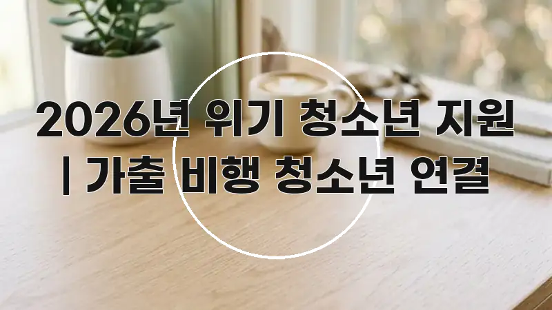 2026년 위기 청소년 지원 | 가출 비행 청소년 연결 꼭 알아야 할 정보를 담은 스마트 정보 카드 - 내용 요약을 위한 이미지
