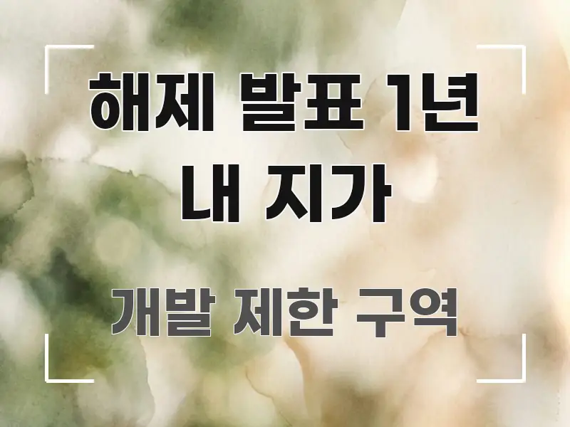 해제 발표 1년 내 지가 구조적으로 정리된 읽기 좋은 정보 카드