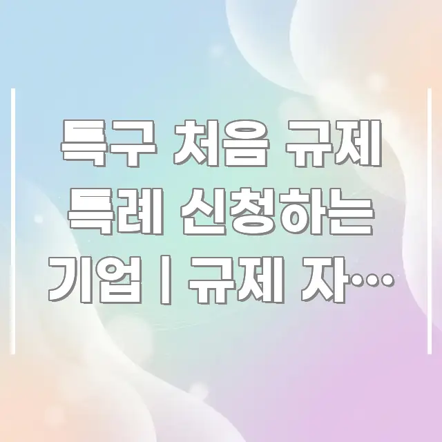 특구 처음 규제 특례 신청하는 기업 | 규제 자유 특구 한 번에 이해되는 가독성 높은 정보 이미지 - 독자 이해를 위한 이미지