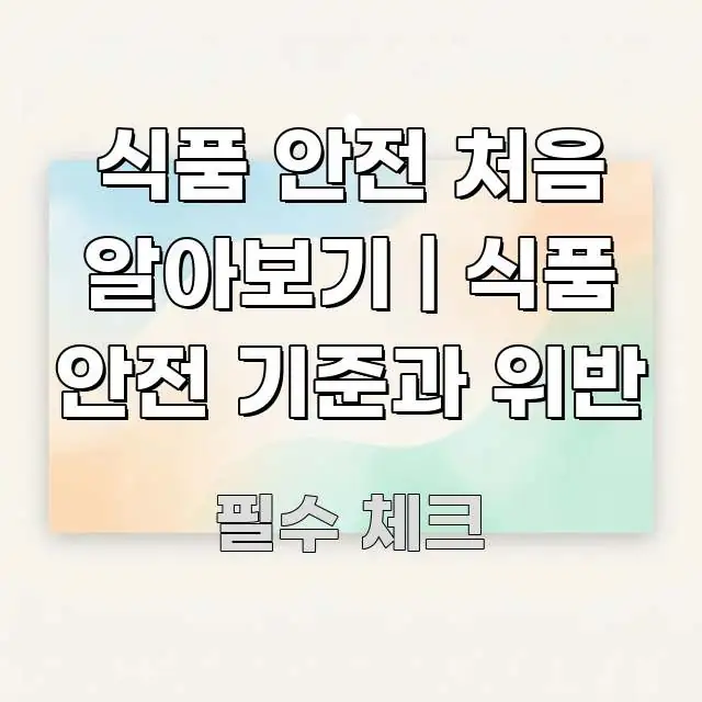 식품 안전 처음 알아보기 | 식품 안전 기준과 위반 핵심 요점 중심의 가독성 높은 정보 이미지