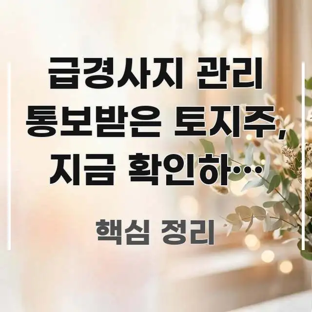 급경사지 관리 통보받은 토지주, 지금 확인하지 않으면 핵심 내용을 정리한 핵심 정보 비주얼