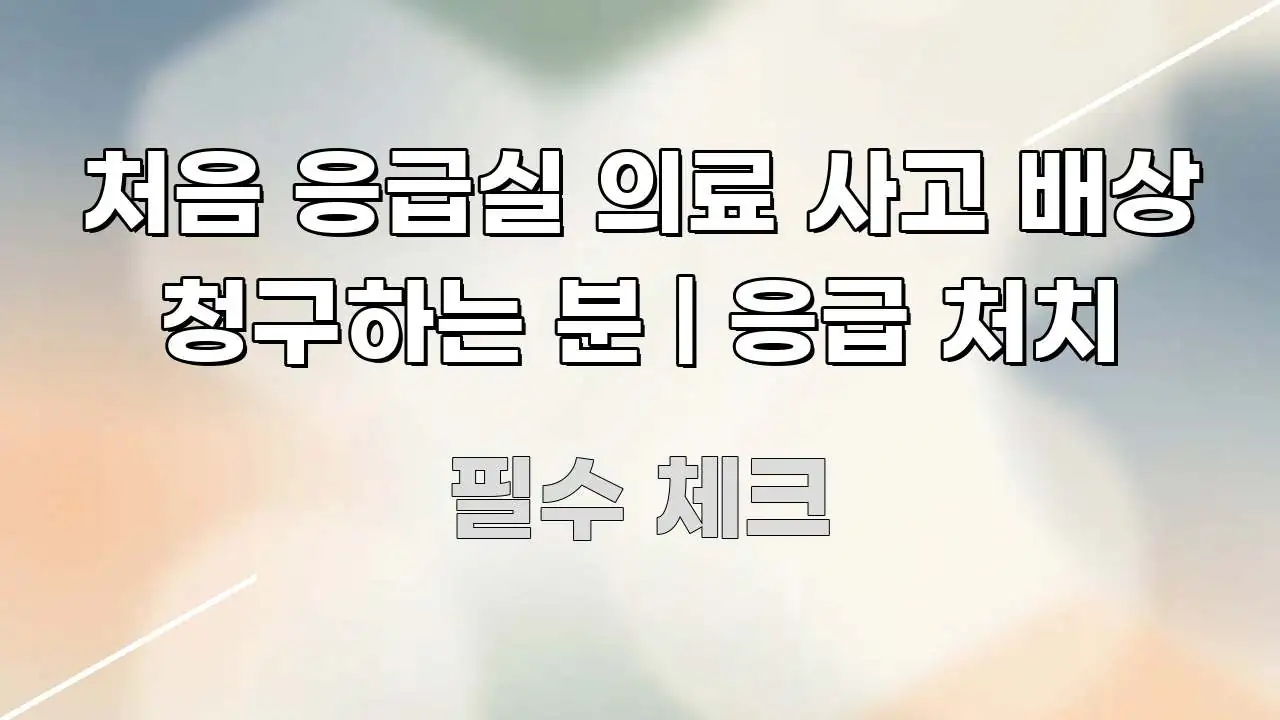 처음 응급실 의료 사고 배상 청구하는 분 | 응급 처치 한 번에 이해되는 깔끔한 인포그래픽 표지 - 본문 내용과 연관된 이미지