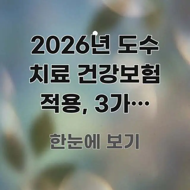 2026년 도수 치료 건강보험 적용, 3가지 조건으로 흐름을 잡아주는 타이포그래피 블로그 표지 - 글 흐름을 돕는 시각 자료