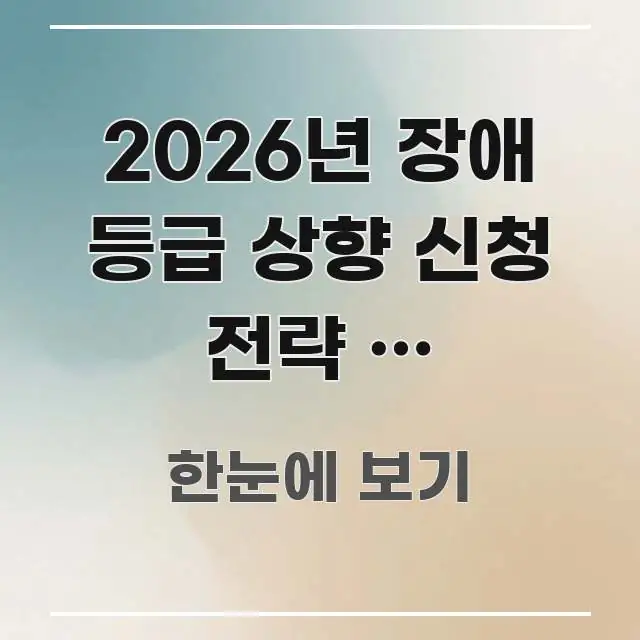 2026년 장애 등급 상향 신청 전략 | 재판정으로 알기 쉽게 정리한 핵심 정보 비주얼