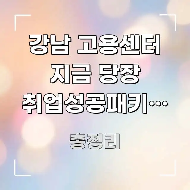 강남 고용센터 지금 당장 취업성공패키지 신청 하러 가는 쉽게 읽히는 가독성 높은 정보 이미지 - 글 흐름을 돕는 시각 자료