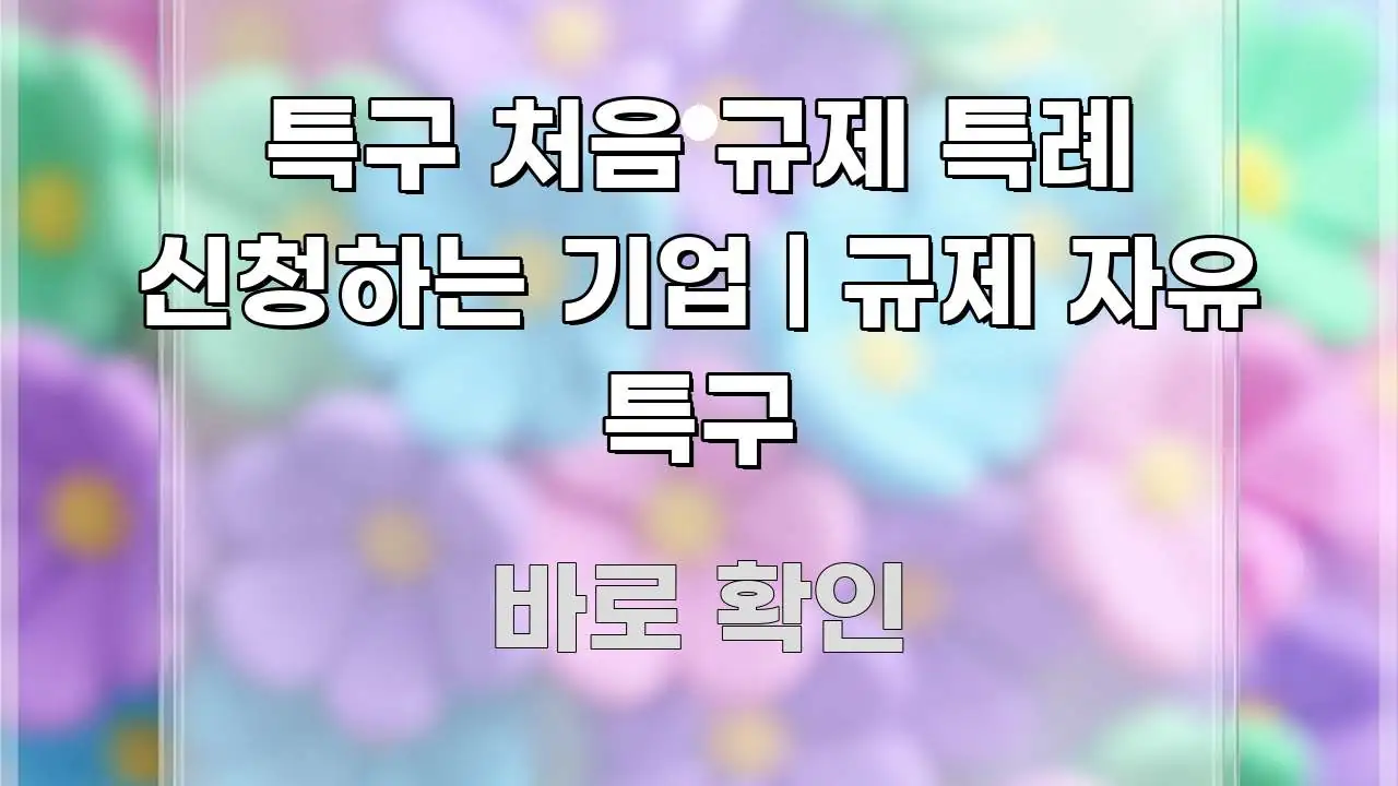 특구 처음 규제 특례 신청하는 기업 | 규제 자유 특구 핵심 내용을 정리한 정보 카드 디자인 이미지 - 본문 내용과 연관된 이미지