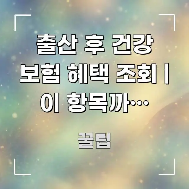 출산 후 건강 보험 혜택 조회 | 이 항목까지 지원되는 한눈에 들어오는 핵심 정리 썸네일 이미지 - 설명을 돕는 이미지