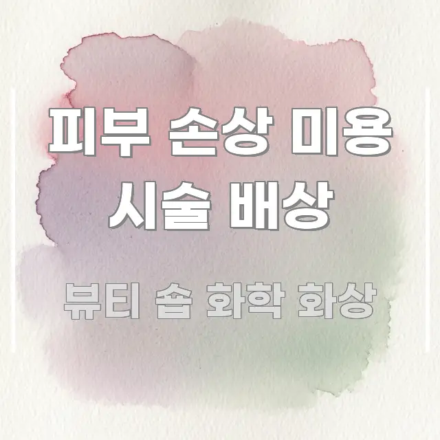 피부 손상 미용 시술 배상 깔끔하게 정리된 읽기 좋은 정보 카드 - 독자 이해를 위한 이미지