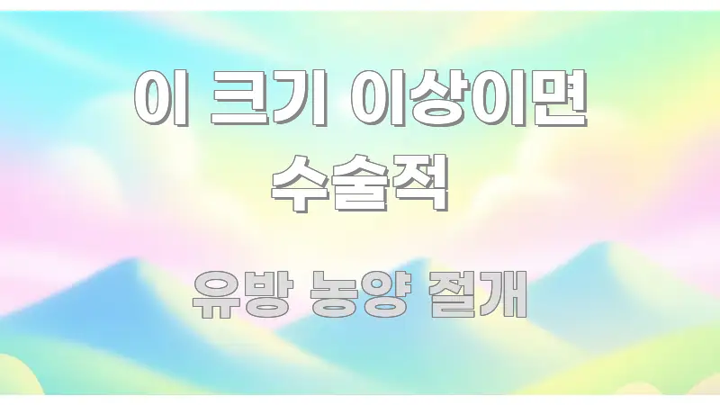 이 크기 이상이면 수술적 꼼꼼하게 정리된 블로그 섹션 구분 이미지 - 글 흐름을 돕는 시각 자료
