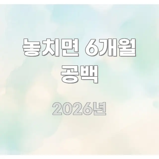 놓치면 6개월 공백 간결하고 명료한 가독성 높은 정보 이미지 - 설명을 돕는 이미지