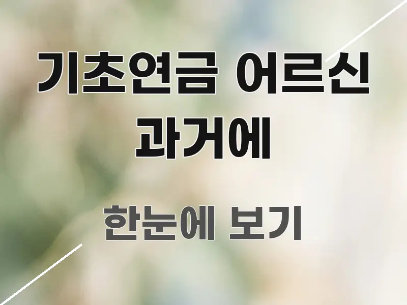 기초연금 어르신 과거에 흐름을 잡아주는 정보 카드 디자인 이미지 - 독자 이해를 위한 이미지