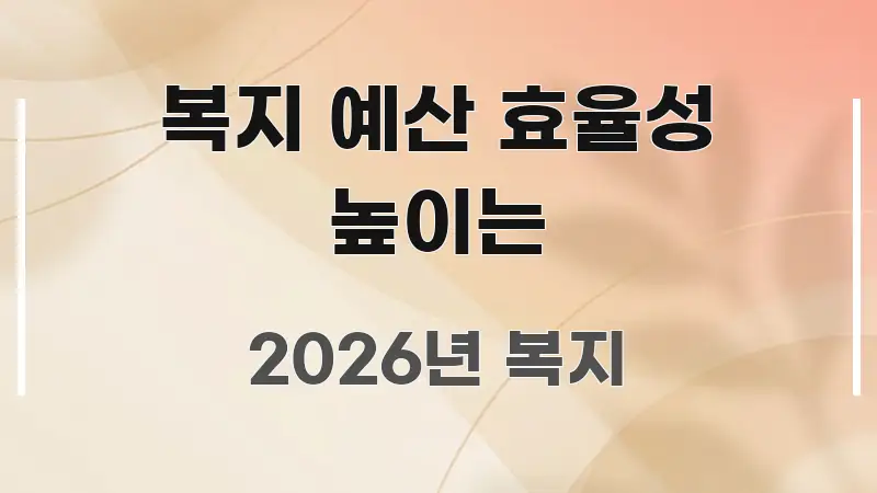 복지 예산 효율성 높이는 효율적으로 구성된 카드뉴스 스타일 이미지 - 본문 내용과 연관된 이미지