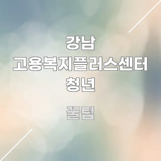강남 고용복지플러스센터 청년 독자를 위해 선별한 블로그 섹션 구분 이미지 - 설명을 돕는 이미지
