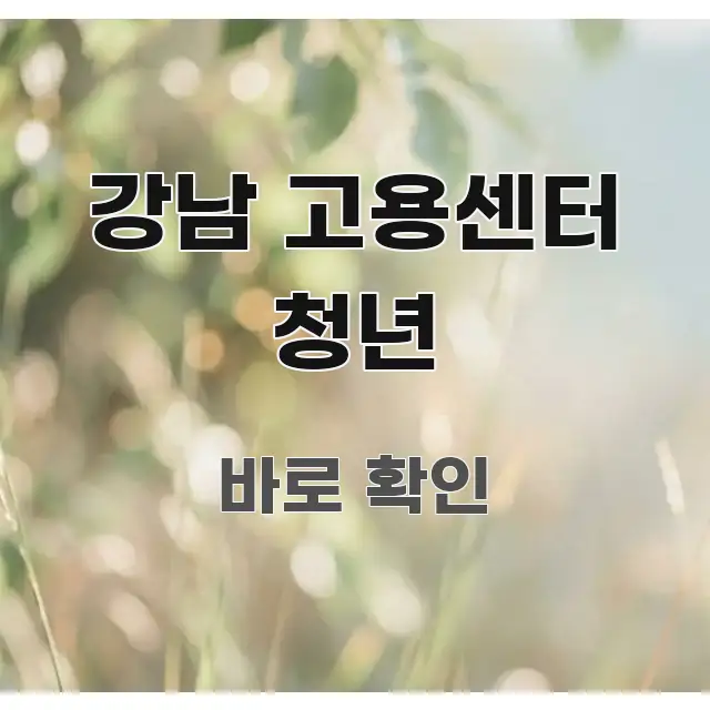 강남 고용센터 청년 주요 포인트를 요약한 스마트 정보 카드