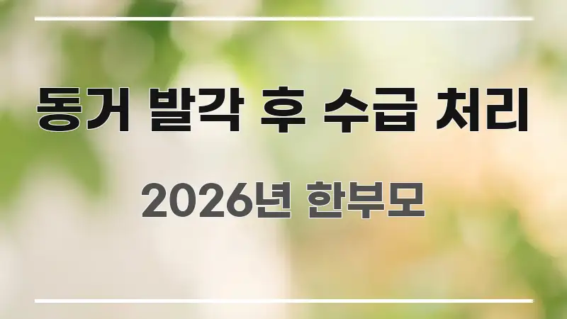 동거 발각 후 수급 처리 꼭 알아야 할 정보를 담은 텍스트 기반 블로그 이미지