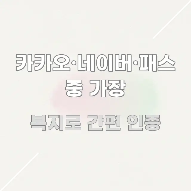 카카오·네이버·패스 중 가장 빠르게 이해할 수 있는 정보 요약 포스터
