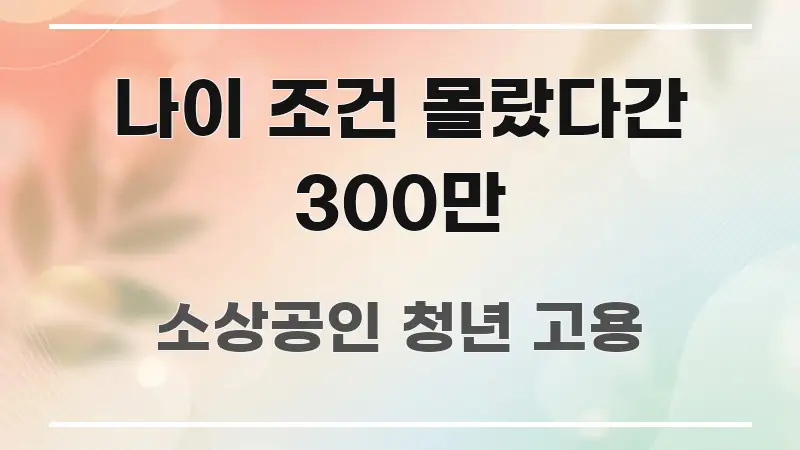 나이 조건 몰랐다간 300만 핵심 요점 중심의 정보 요약 포스터 - 글 흐름을 돕는 시각 자료
