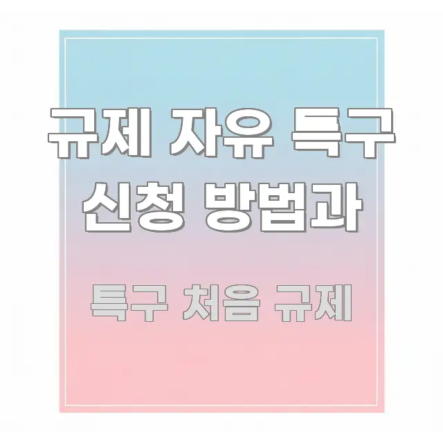 규제 자유 특구 신청 방법과 효율적으로 구성된 핵심 정보 비주얼 - 독자 이해를 위한 이미지