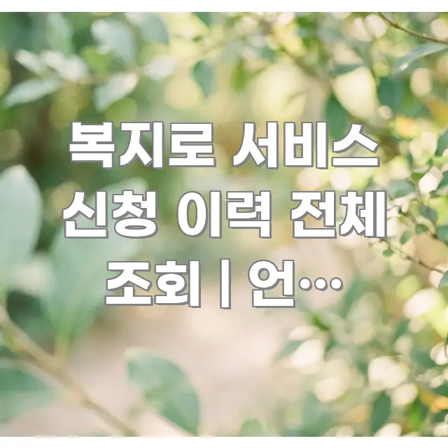 복지로 서비스 신청 이력 전체 조회 | 언제 무엇을 핵심 요점 중심의 글 소개 썸네일 이미지 - 설명을 돕는 이미지