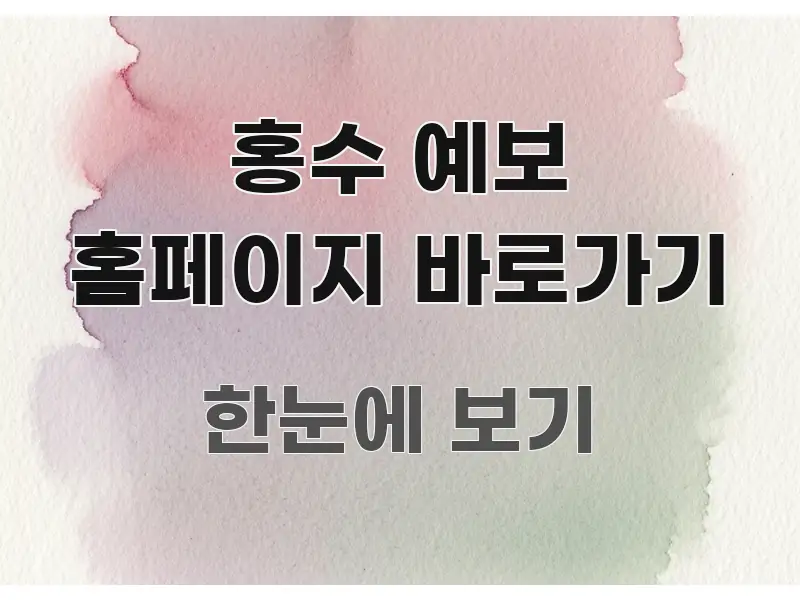 홍수 예보 홈페이지 바로가기 독자를 위해 선별한 심플 타이포그래피 표지 - 독자 이해를 위한 이미지