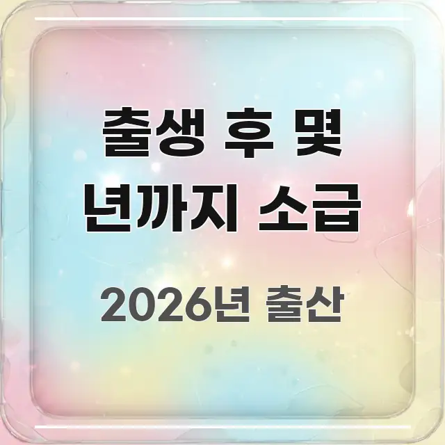 출생 후 몇 년까지 소급 중요 내용만 뽑은 정보 정리 카드 이미지 - 활용 예시 이미지