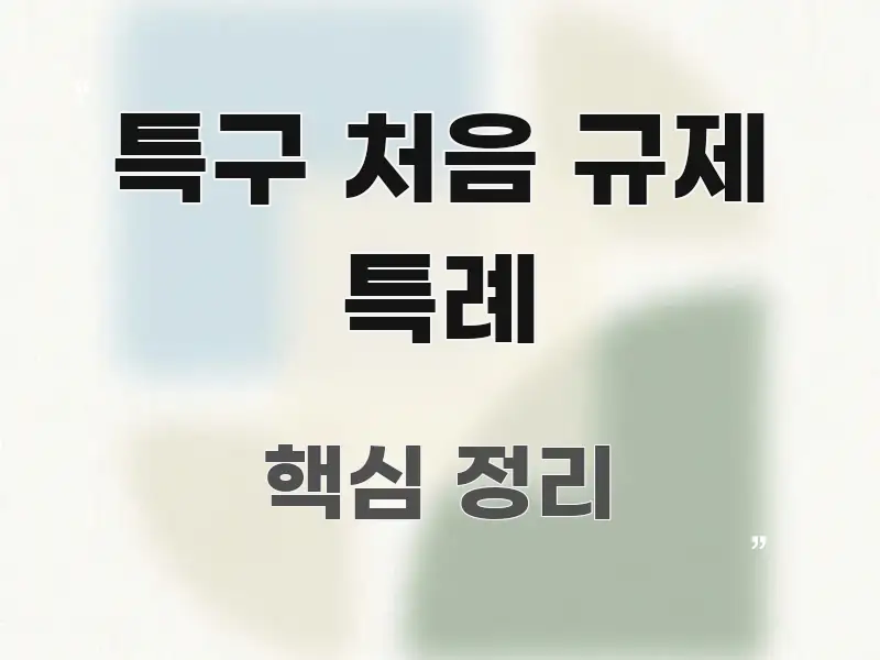 특구 처음 규제 특례 흐름을 잡아주는 블로그 대표 이미지 - 활용 예시 이미지
