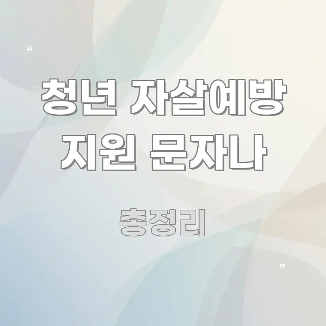 청년 자살예방 지원 문자나 빠르게 이해할 수 있는 핵심 정보 비주얼 - 독자 이해를 위한 이미지