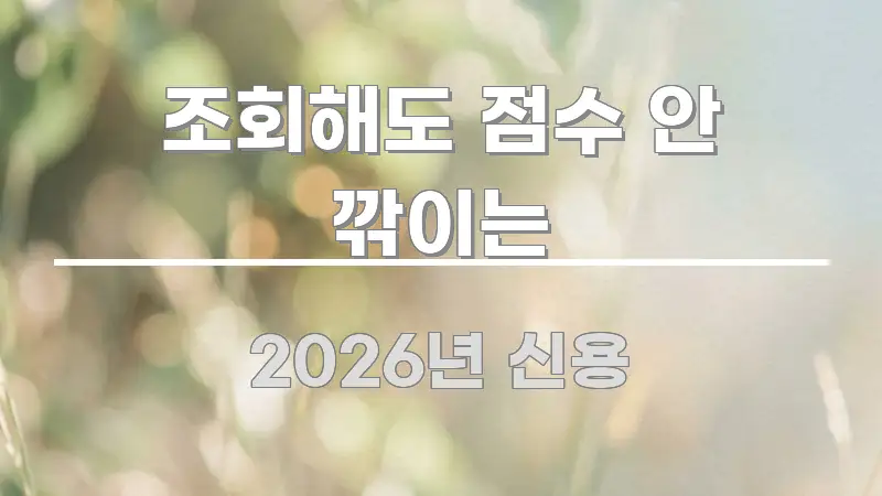 조회해도 점수 안 깎이는 꼭 필요한 정보만 담은 블로그 대표 이미지