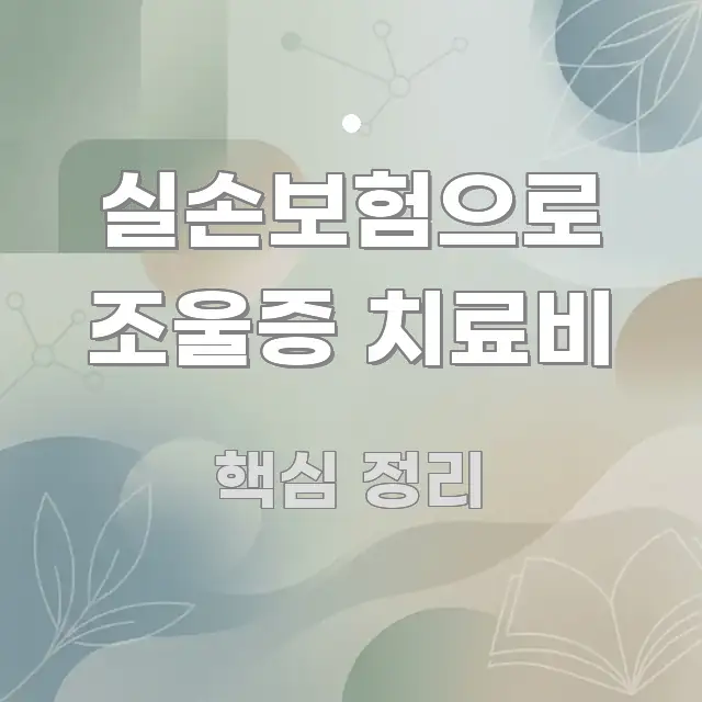 실손보험으로 조울증 치료비 쉽게 읽히는 정보 요약 인포그래픽 이미지 - 독자 이해를 위한 이미지