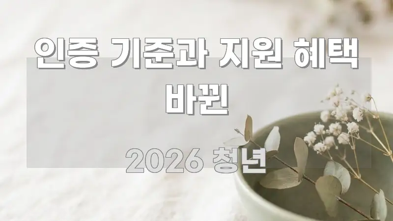 인증 기준과 지원 혜택 바뀐 핵심 정보를 압축한 카드뉴스 스타일 이미지 - 본문 내용과 연관된 이미지